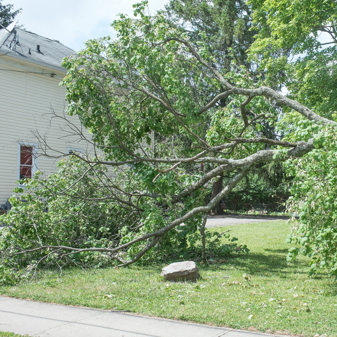 storm damage roof repair