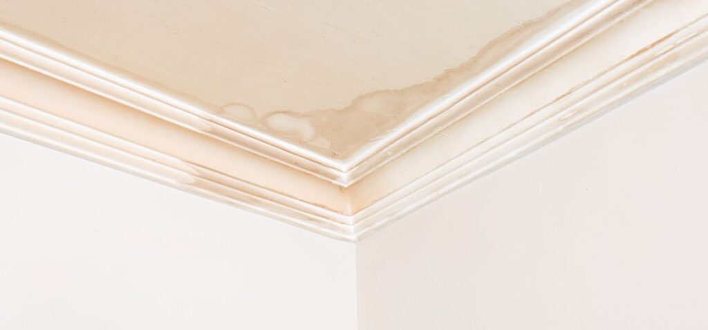 Water-stained ceiling and crown molding showing interior damage from a roof leak in a home needing roof leak repair in Conover, NC.